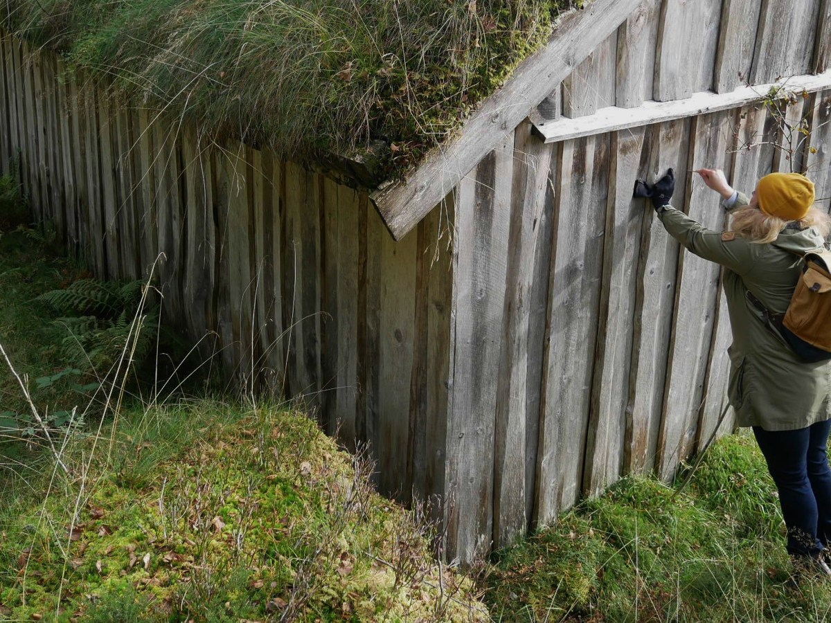 Ledig prosjektstilling